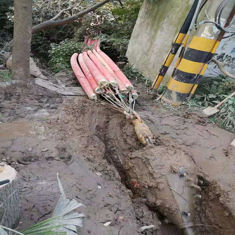 自贡武汉焊接涂装线拖拉管